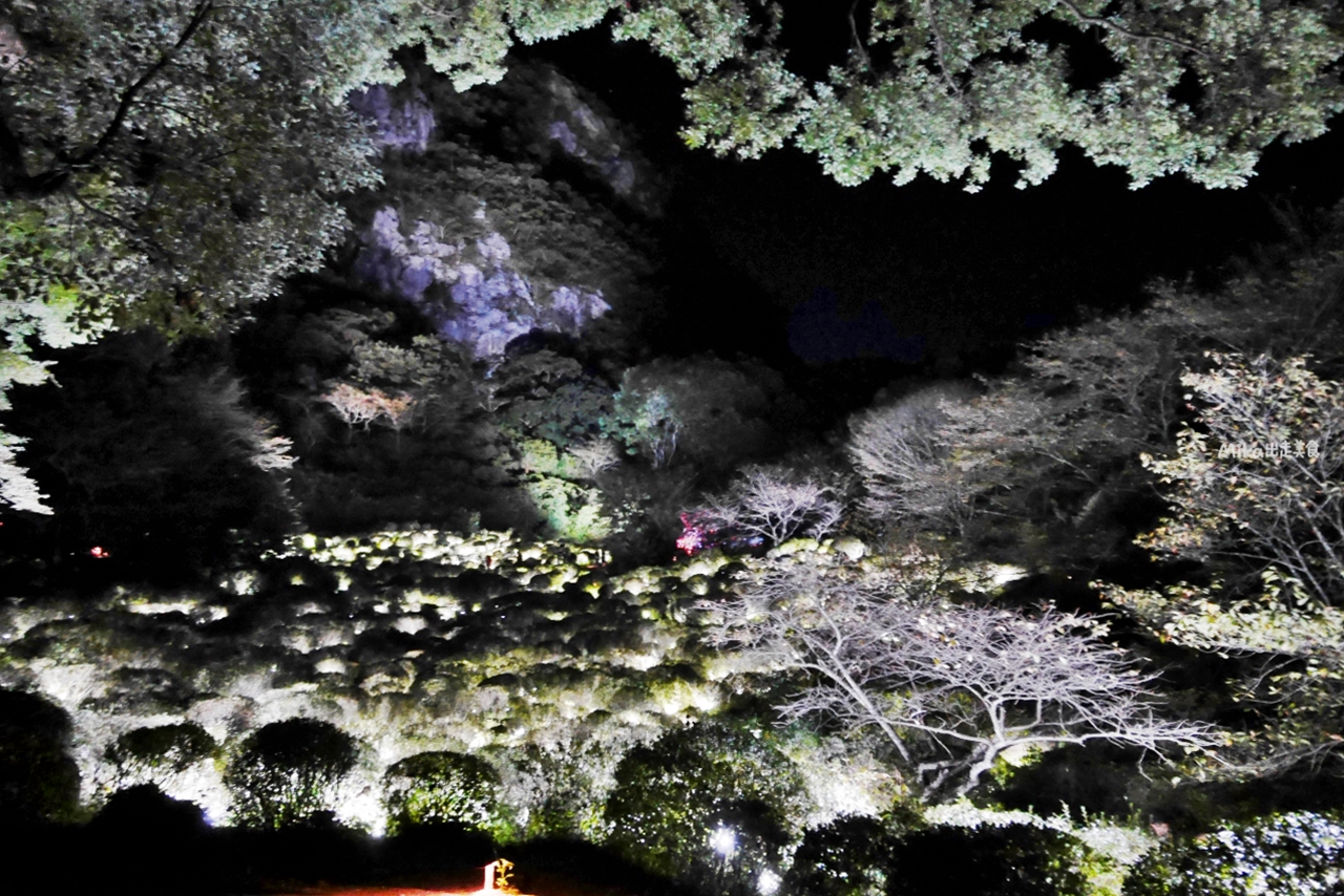 【日本】 佐賀 御船山樂園 ｜佐賀 期間限定 teamLab 神居住之森 光影科技藝術展。