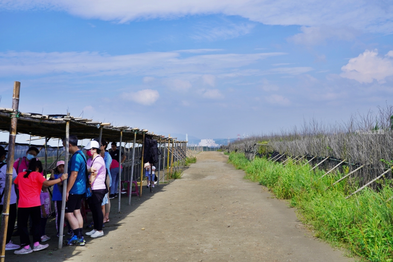 【桃園】 大園 2023候鳥漫波 啾一夏｜即日起到6/25日止，每個假日來找小燕鷗 闖任務長知識還有紀念品拿，現場或網路報名都可以參加導覽解說。