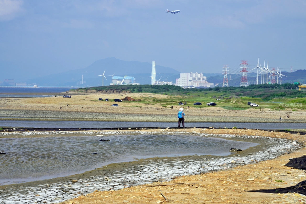 【桃園】 大園 2023候鳥漫波 啾一夏｜即日起到6/25日止，每個假日來找小燕鷗 闖任務長知識還有紀念品拿，現場或網路報名都可以參加導覽解說。