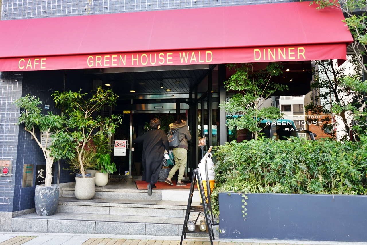 【日本】 神戶 Green House Wald 森林餐廳｜神戶三宮站周邊，華麗森林風餐廳，手工窯烤披薩很推薦。