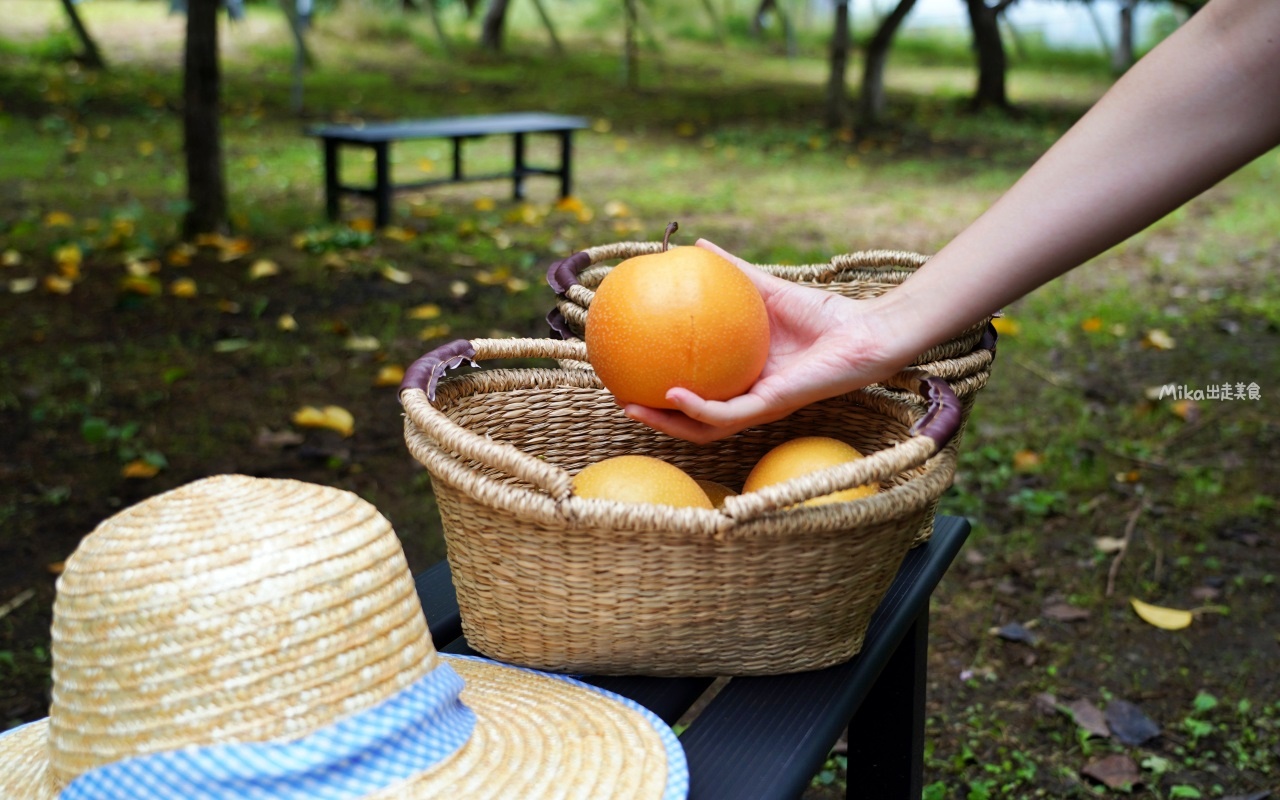 【日本】 福島市 Marusei Orchard まるせい 果樹園｜提供水蜜桃、櫻桃、梨子、蘋果等當季水果，最低日幣500元就可以採果吃到飽。