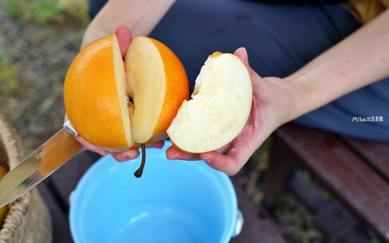 【日本】 福島市 Marusei Orchard まるせい 果樹園｜提供水蜜桃、櫻桃、梨子、蘋果等當季水果，最低日幣500元就可以採果吃到飽。