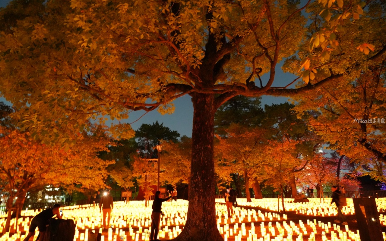 【日本】 北九州市 小倉城 ｜秋季期間限定 小倉城竹燈祭，點亮 30,000 個竹燈籠的夢幻浪漫祭典。