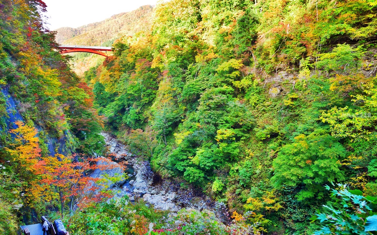 【日本】 東北秋田 小安峽大噴湯｜隱藏版景點 深V峽谷楓紅 還有舉世罕見的超大溫泉蒸氣噴湯，又稱“地獄釜”。