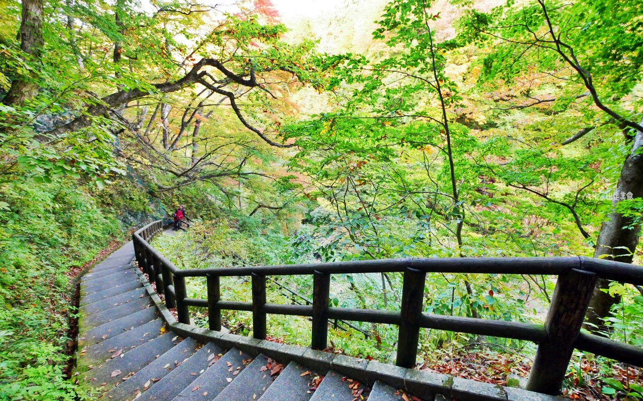 【日本】 東北秋田 小安峽大噴湯｜隱藏版景點 深V峽谷楓紅 還有舉世罕見的超大溫泉蒸氣噴湯，又稱“地獄釜”。