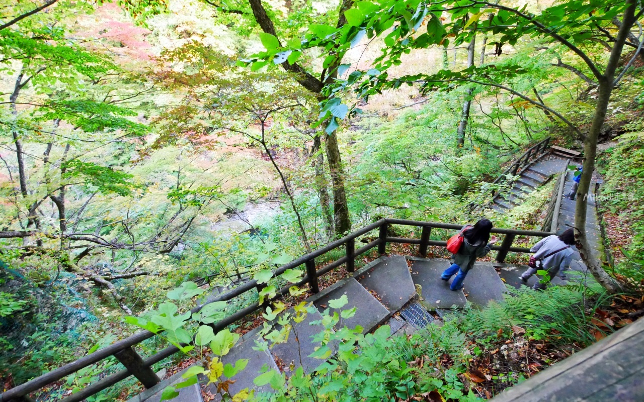 【日本】 東北秋田 小安峽大噴湯｜隱藏版景點 深V峽谷楓紅 還有舉世罕見的超大溫泉蒸氣噴湯，又稱“地獄釜”。