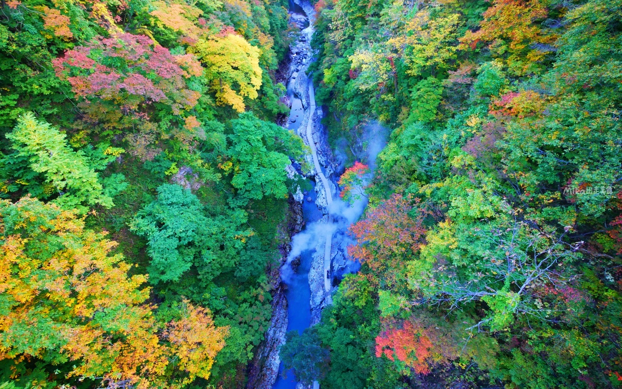 【日本】 東北秋田 小安峽大噴湯｜隱藏版景點 深V峽谷楓紅 還有舉世罕見的超大溫泉蒸氣噴湯，又稱“地獄釜”。