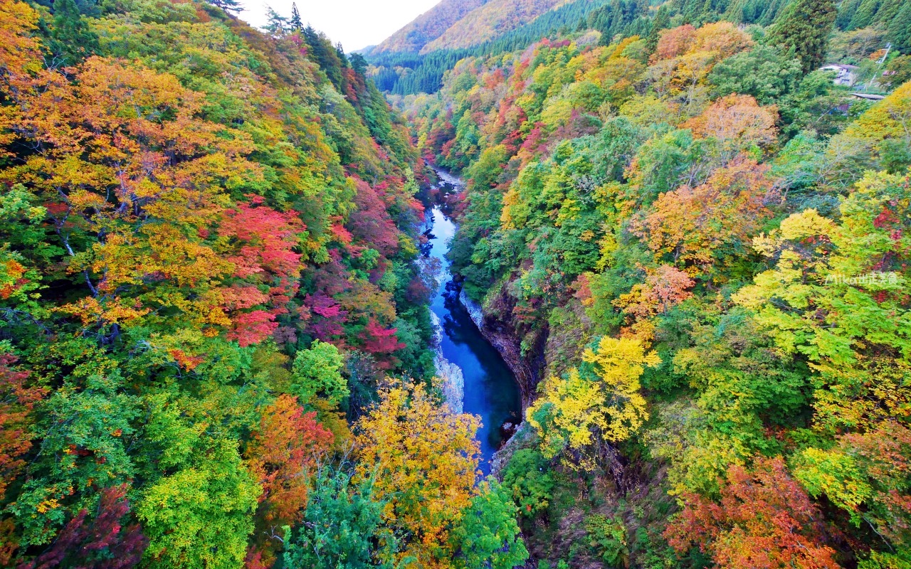 【日本】 東北秋田 小安峽大噴湯｜隱藏版景點 深V峽谷楓紅 還有舉世罕見的超大溫泉蒸氣噴湯，又稱“地獄釜”。