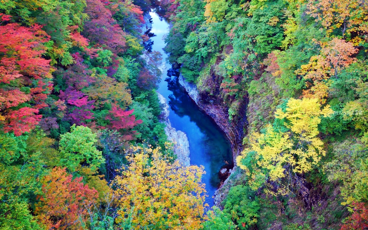 【日本】 東北秋田 小安峽大噴湯｜隱藏版景點 深V峽谷楓紅 還有舉世罕見的超大溫泉蒸氣噴湯，又稱“地獄釜”。