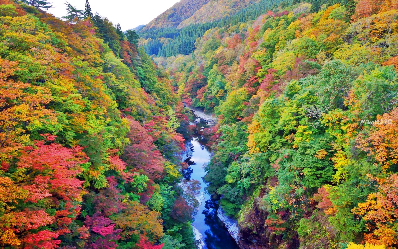 【日本】 東北秋田 小安峽大噴湯｜隱藏版景點 深V峽谷楓紅 還有舉世罕見的超大溫泉蒸氣噴湯，又稱“地獄釜”。