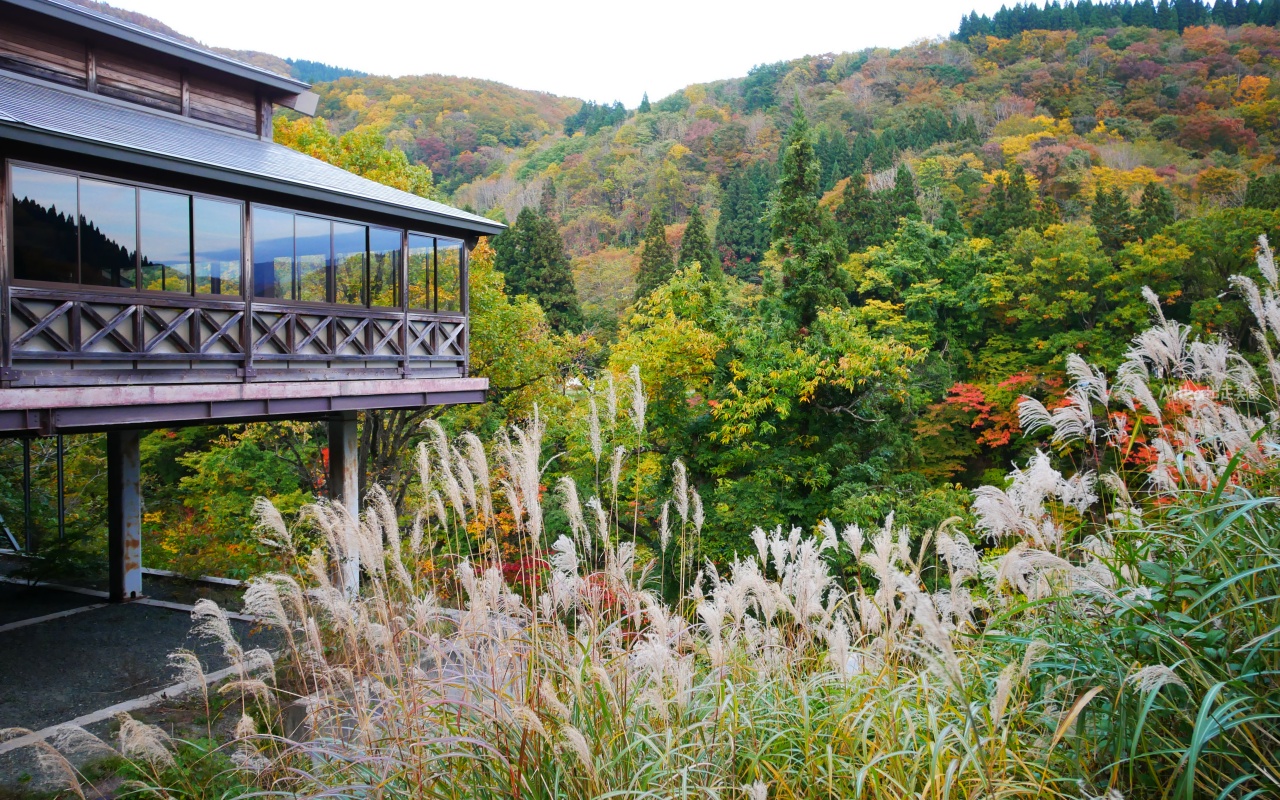 【日本】 東北秋田 小安峽大噴湯｜隱藏版景點 深V峽谷楓紅 還有舉世罕見的超大溫泉蒸氣噴湯，又稱“地獄釜”。