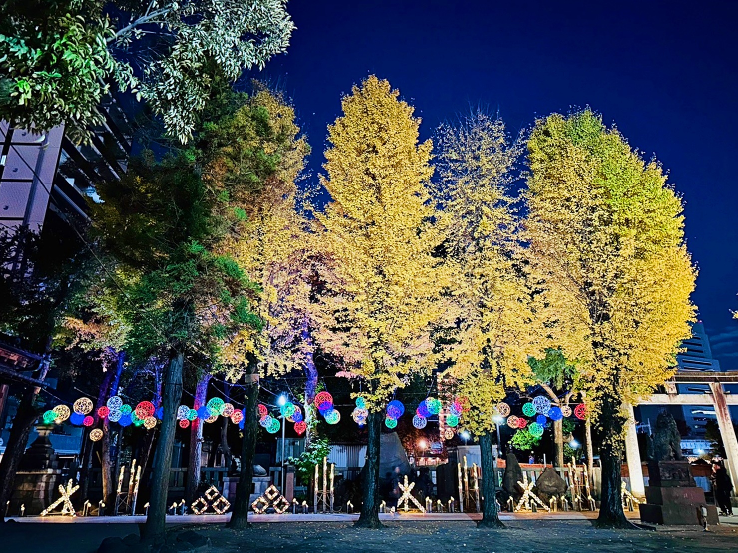 【日本】 東京晴空塔 牛嶋神社｜晴空塔周邊景點 罕見三輪鳥居的古老神社，期間限定神社燈光展。