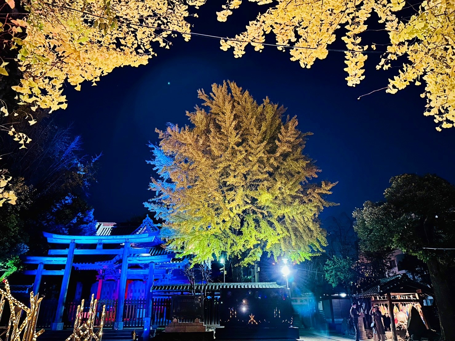 【日本】 東京晴空塔 牛嶋神社｜晴空塔周邊景點 罕見三輪鳥居的古老神社，期間限定神社燈光展。