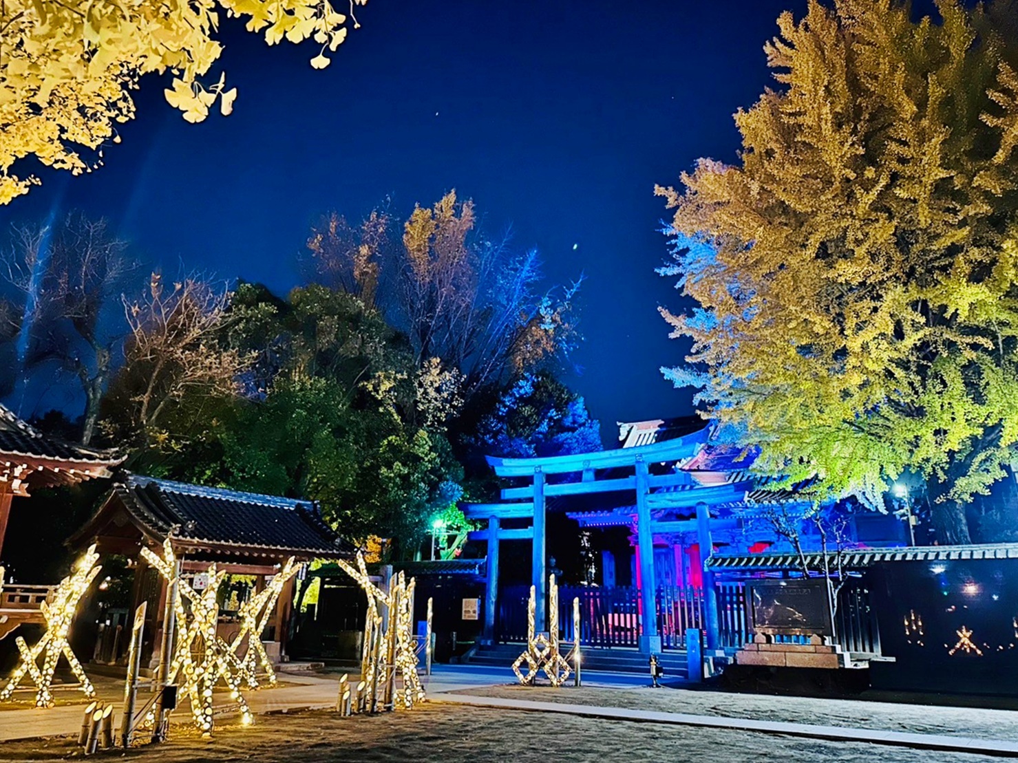 【日本】 東京晴空塔 牛嶋神社｜晴空塔周邊景點 罕見三輪鳥居的古老神社，期間限定神社燈光展。