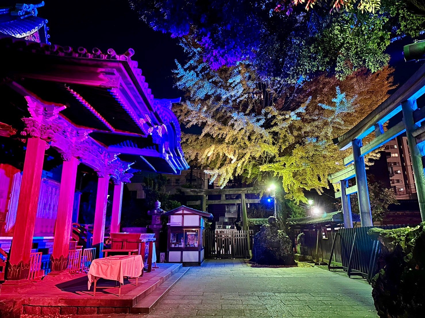 【日本】 東京晴空塔 牛嶋神社｜晴空塔周邊景點 罕見三輪鳥居的古老神社，期間限定神社燈光展。