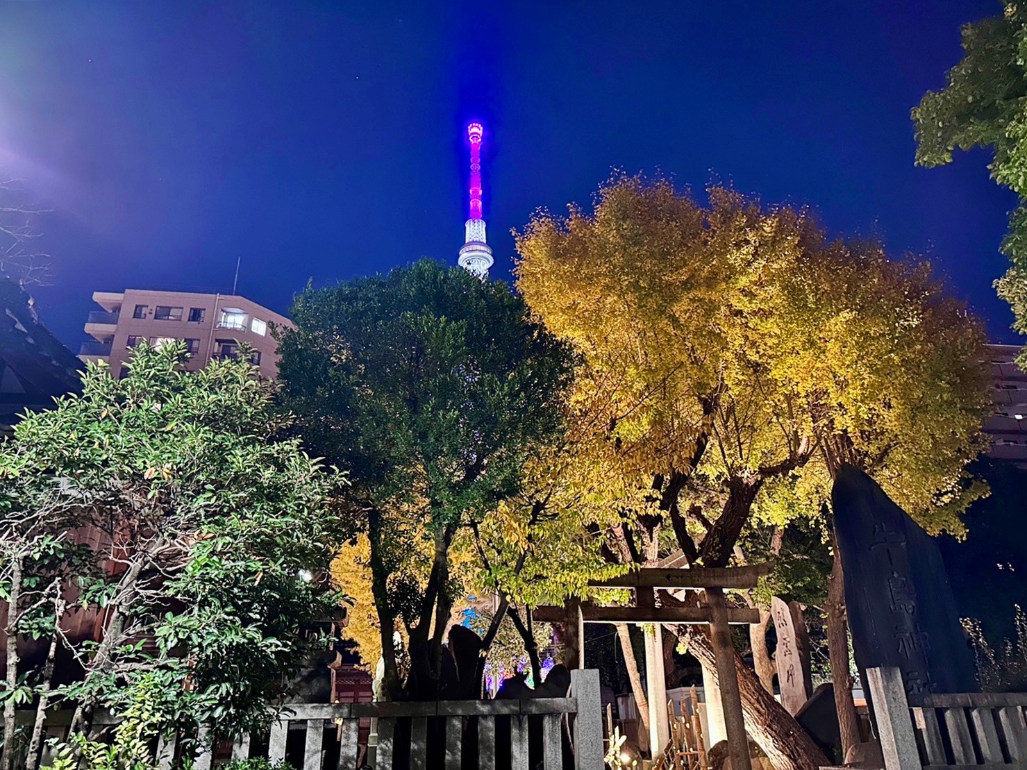 【日本】 東京晴空塔 牛嶋神社｜晴空塔周邊景點 罕見三輪鳥居的古老神社，期間限定神社燈光展。