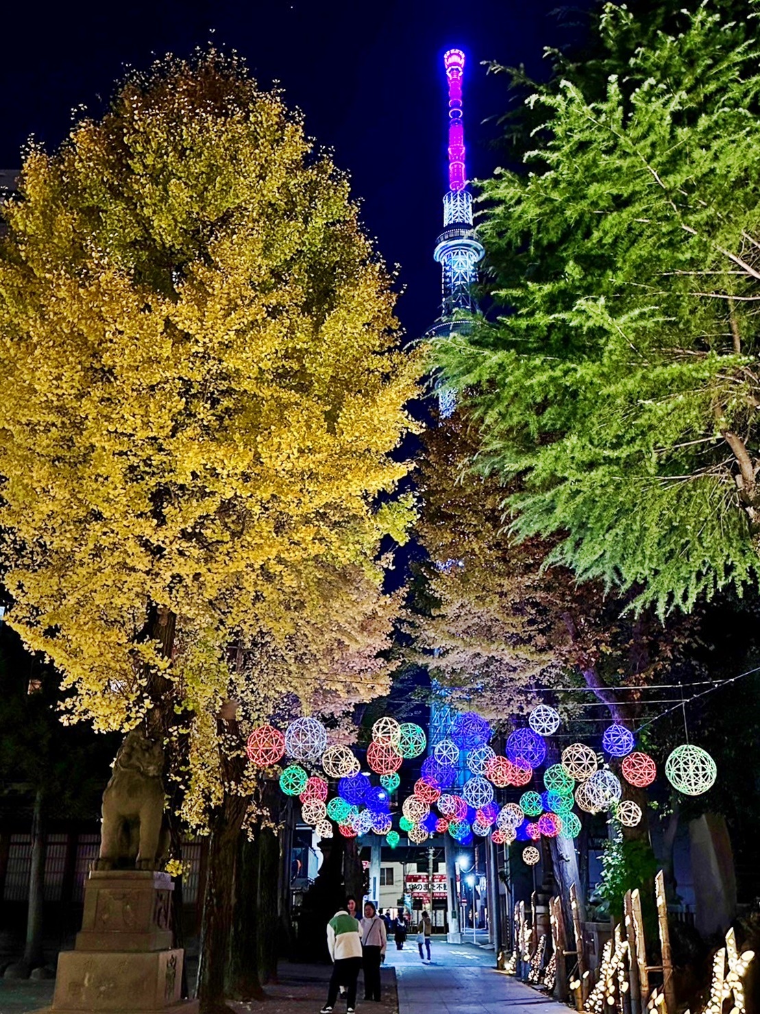 【日本】 東京晴空塔 牛嶋神社｜晴空塔周邊景點 罕見三輪鳥居的古老神社，期間限定神社燈光展。