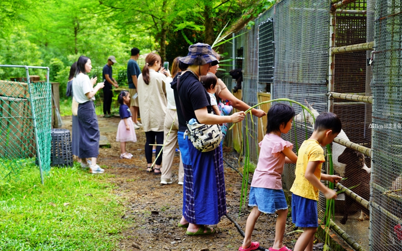 【宜蘭】 員山 鳳梨屋水上莊園｜宜蘭必去 親子一日遊景點！除了豪華露營的客人，這裡也開放一日遊了，入園門票只要$200 還可以抵消費100元。