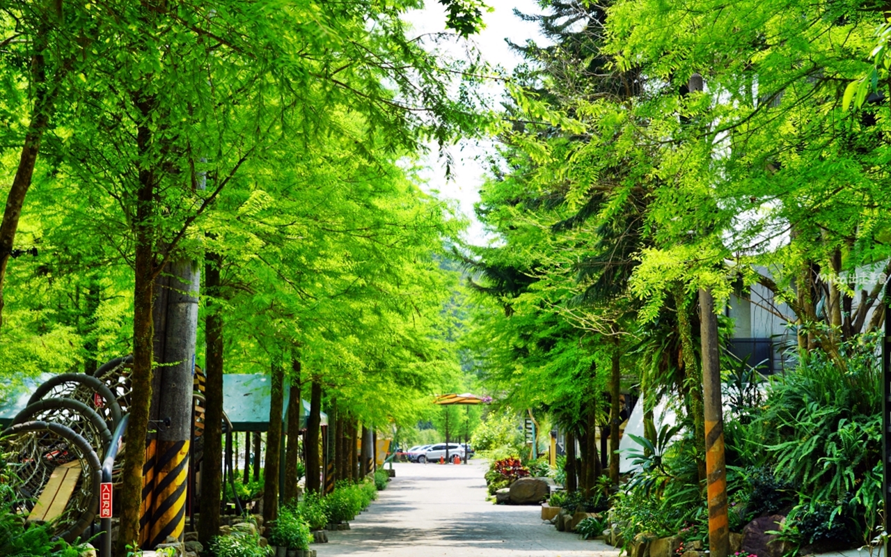 【宜蘭】 員山 鳳梨屋水上莊園｜宜蘭必去 親子一日遊景點！除了豪華露營的客人，這裡也開放一日遊了，入園門票只要$200 還可以抵消費100元。