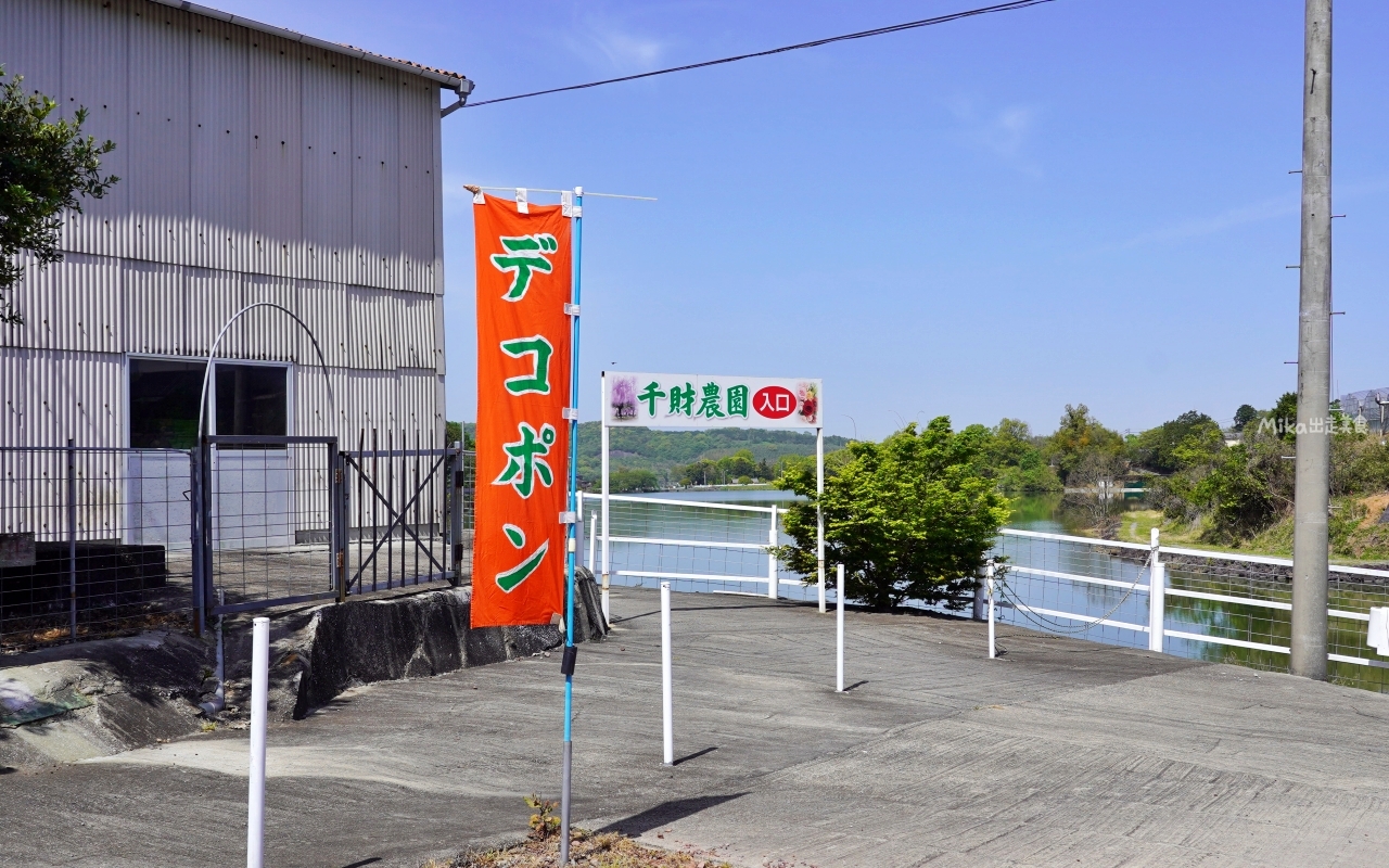 【日本】 大分 宇佐市 千財農園｜季節限定 九州最大 紫藤花園！而且免付費、免預約，還有免費停車場，可自由賞花。