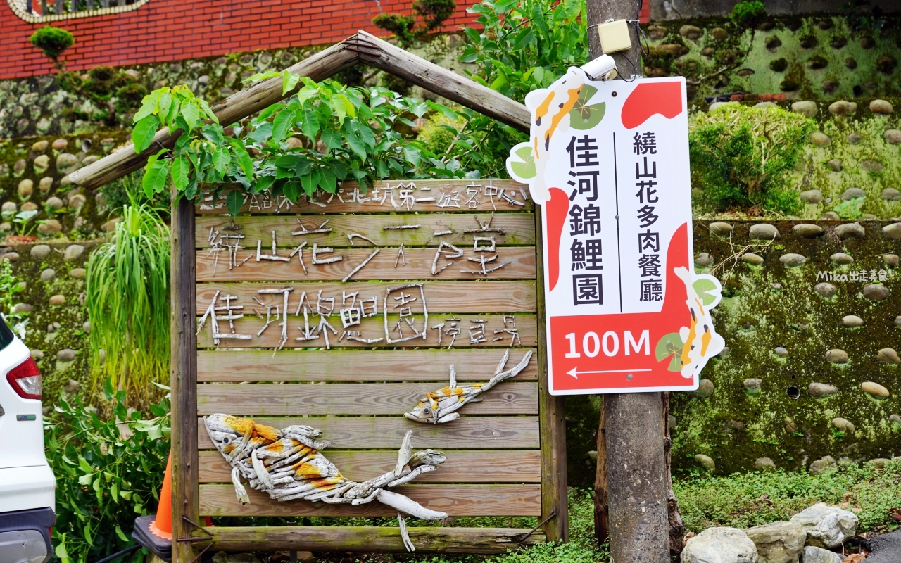 【桃園】 龍潭 繞山花X佳河錦鯉園（三和青創基地）｜全台灣最大的龍鳳錦鯉繁殖地，還有多肉秘境咖啡廳，仙人掌盆栽蛋糕好可愛。