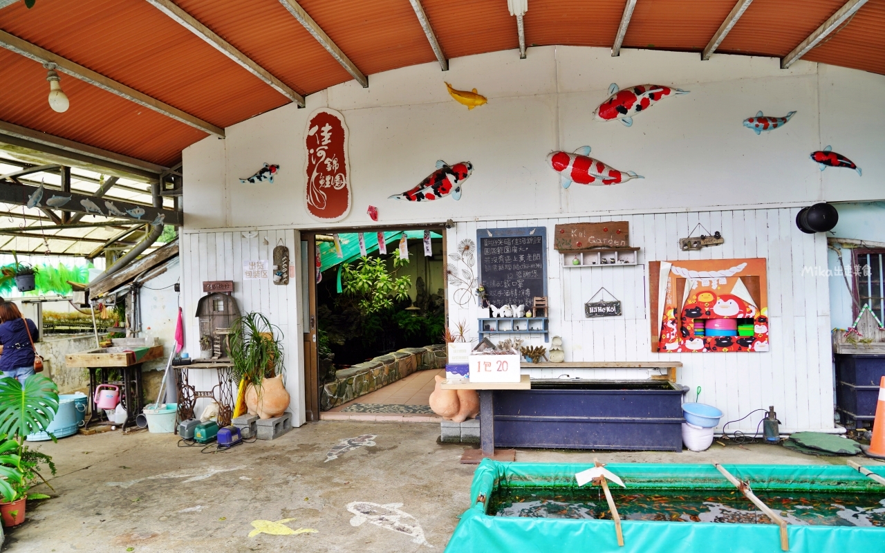 【桃園】 龍潭 繞山花X佳河錦鯉園（三和青創基地）｜全台灣最大的龍鳳錦鯉繁殖地，還有多肉秘境咖啡廳，仙人掌盆栽蛋糕好可愛。