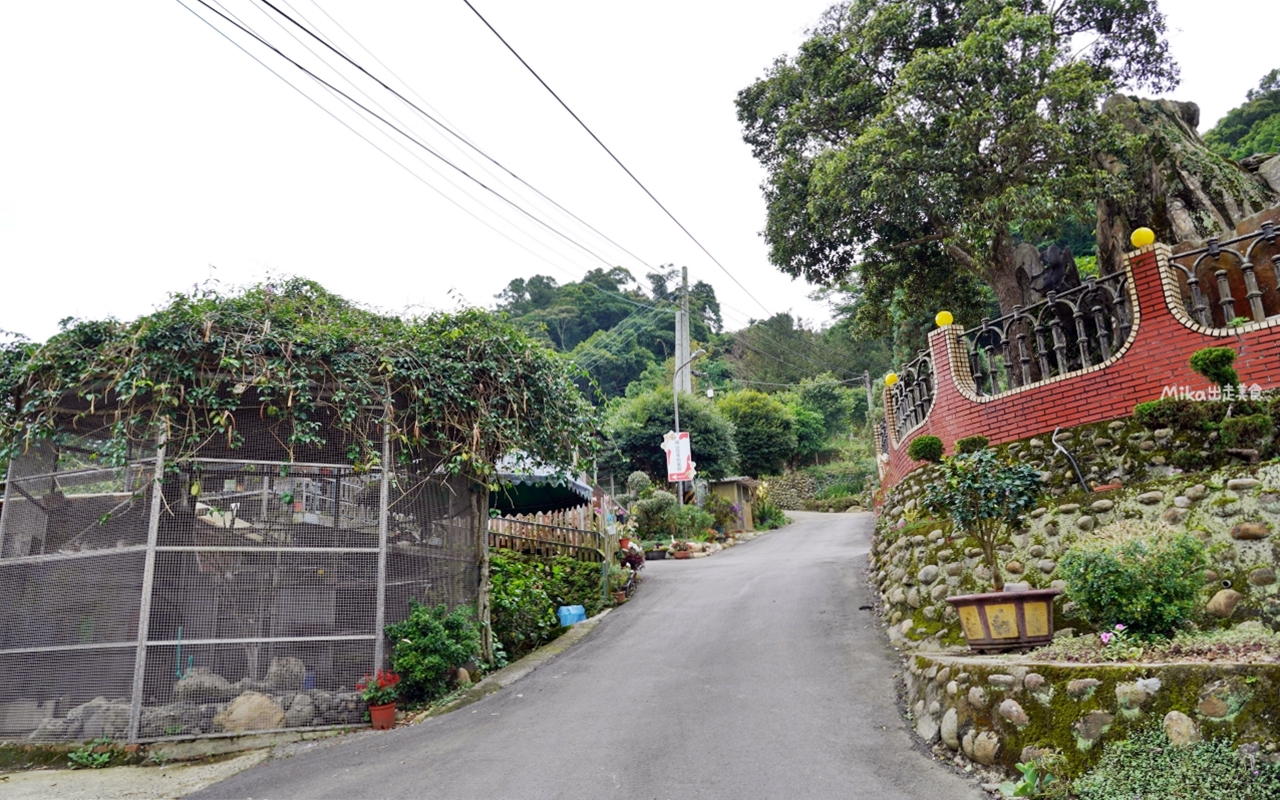 【桃園】 龍潭 繞山花X佳河錦鯉園（三和青創基地）｜全台灣最大的龍鳳錦鯉繁殖地，還有多肉秘境咖啡廳，仙人掌盆栽蛋糕好可愛。