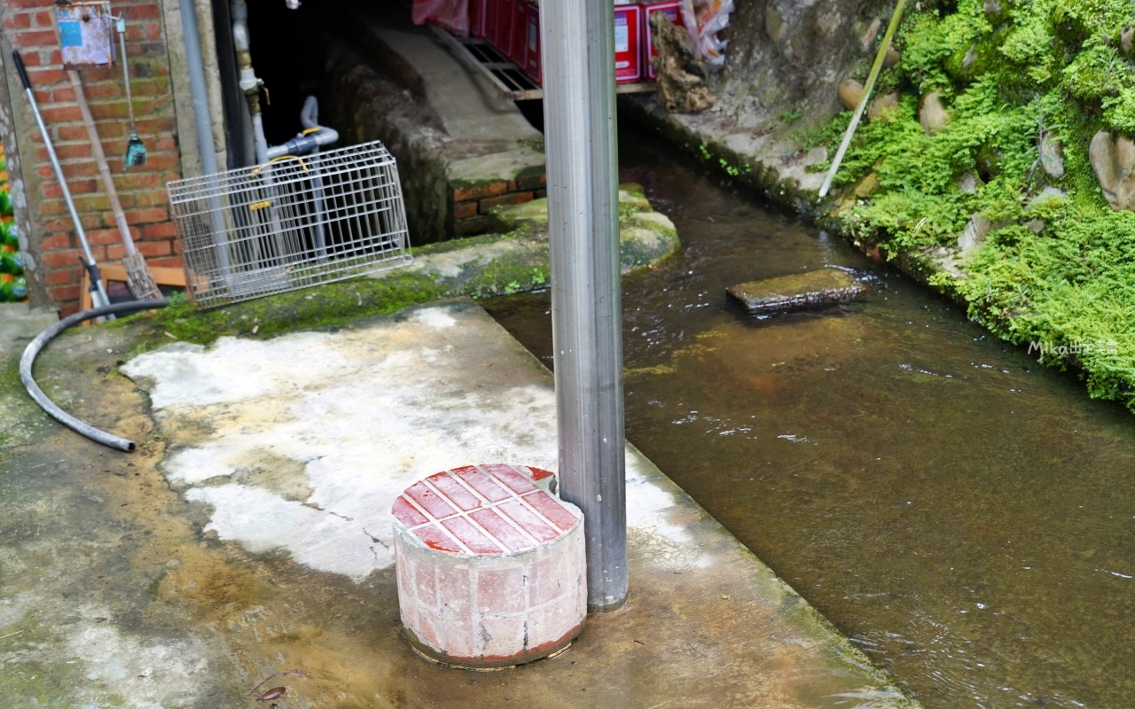 【桃園】 龍潭 繞山花X佳河錦鯉園（三和青創基地）｜全台灣最大的龍鳳錦鯉繁殖地，還有多肉秘境咖啡廳，仙人掌盆栽蛋糕好可愛。