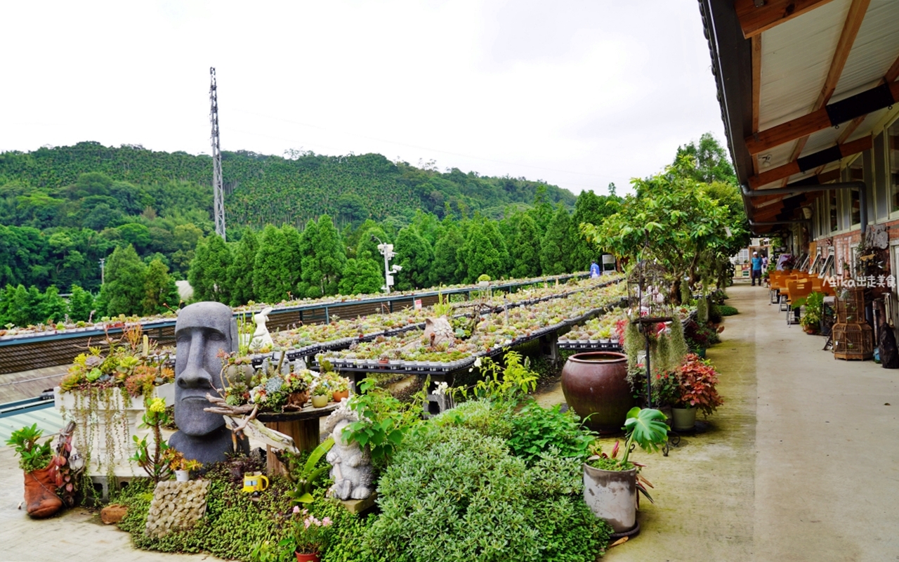 【桃園】 龍潭 繞山花X佳河錦鯉園（三和青創基地）｜全台灣最大的龍鳳錦鯉繁殖地，還有多肉秘境咖啡廳，仙人掌盆栽蛋糕好可愛。