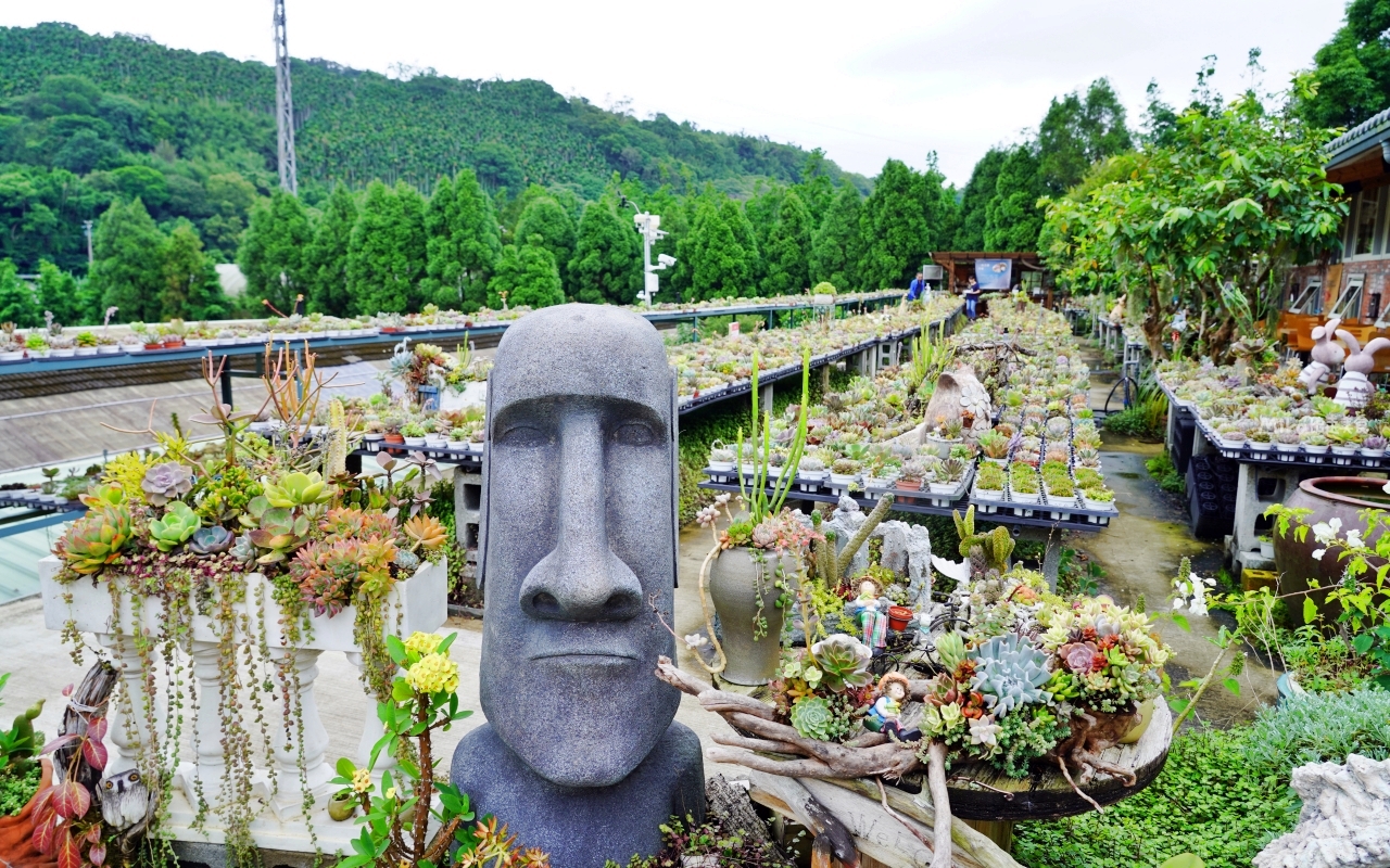 【桃園】 龍潭 繞山花X佳河錦鯉園（三和青創基地）｜全台灣最大的龍鳳錦鯉繁殖地，還有多肉秘境咖啡廳，仙人掌盆栽蛋糕好可愛。