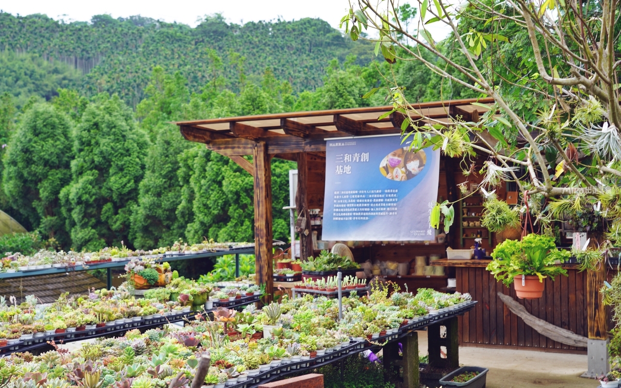 【桃園】 龍潭 繞山花X佳河錦鯉園（三和青創基地）｜全台灣最大的龍鳳錦鯉繁殖地，還有多肉秘境咖啡廳，仙人掌盆栽蛋糕好可愛。