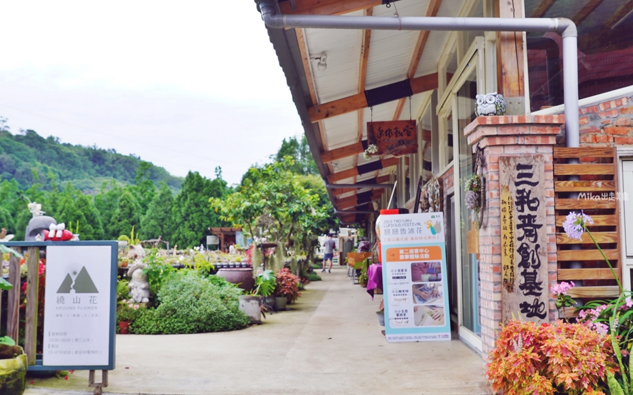 【桃園】 龍潭 繞山花X佳河錦鯉園（三和青創基地）｜全台灣最大的龍鳳錦鯉繁殖地，還有多肉秘境咖啡廳，仙人掌盆栽蛋糕好可愛。