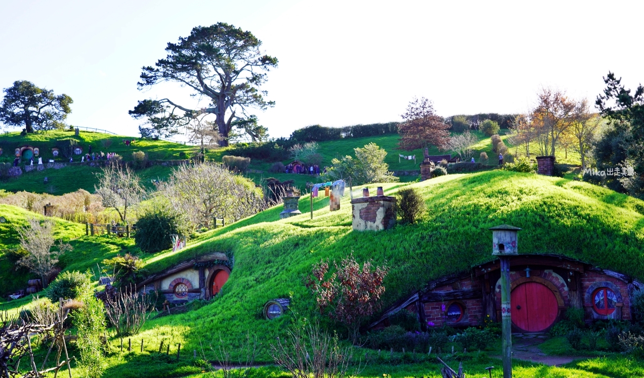 【紐西蘭】 哈比村 Hobbiton™ Movie Set Tours｜北島必去 走入魔戒夢幻電影場景，體驗哈比人的一天。