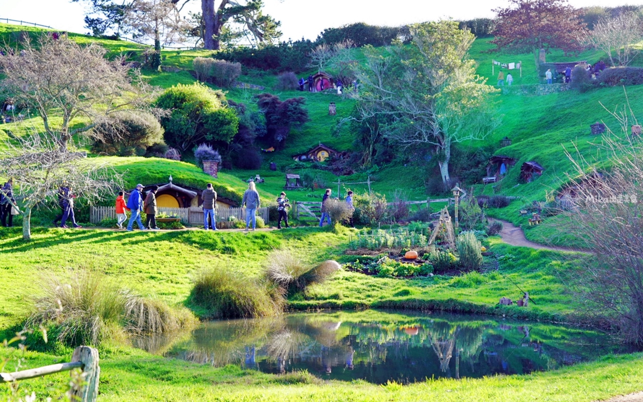 【紐西蘭】 哈比村 Hobbiton™ Movie Set Tours｜北島必去 走入魔戒夢幻電影場景，體驗哈比人的一天。