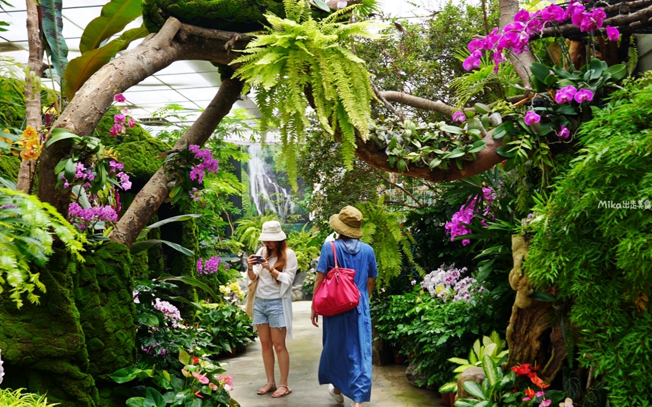 【苗栗】 卓蘭 花露農場 Flower Home｜被花包圍的幸福農場，夢幻繡球花冰淇淋必吃。