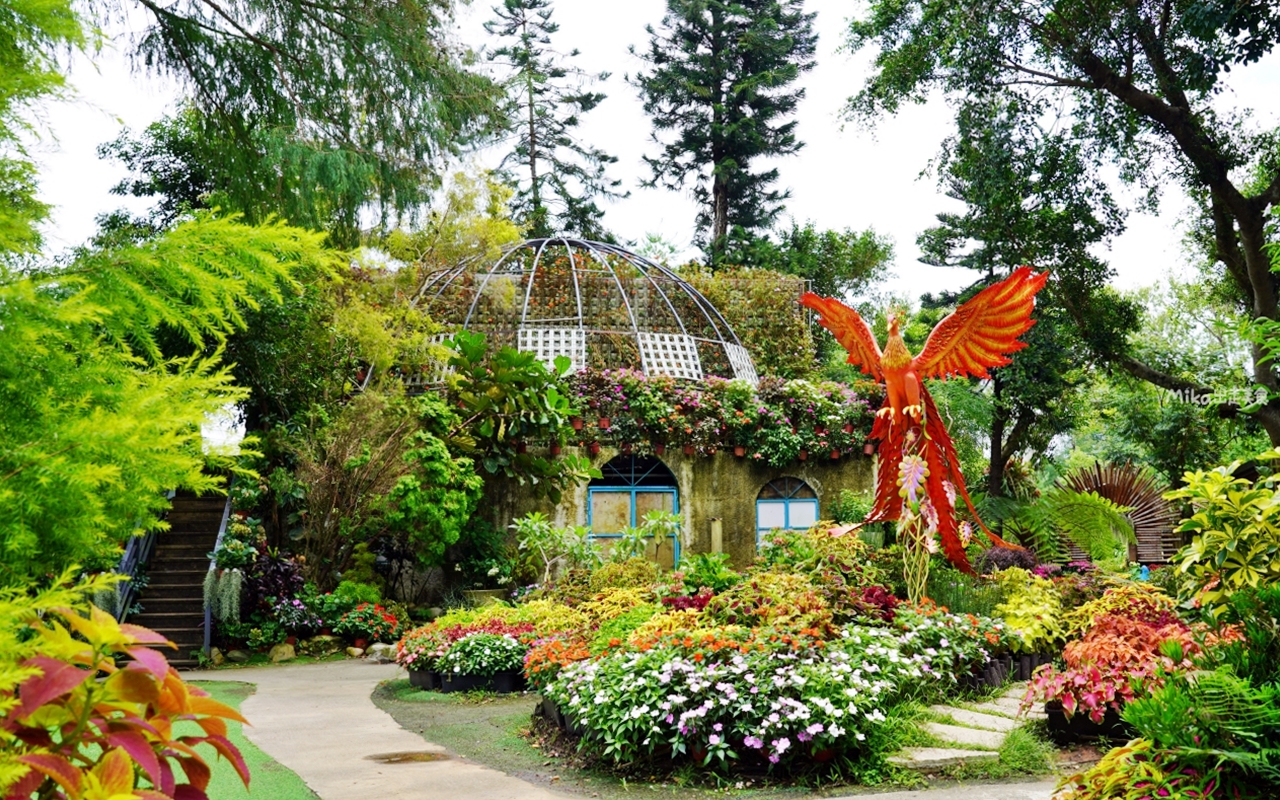 【苗栗】 卓蘭 花露農場 Flower Home｜被花包圍的幸福農場，夢幻繡球花冰淇淋必吃。