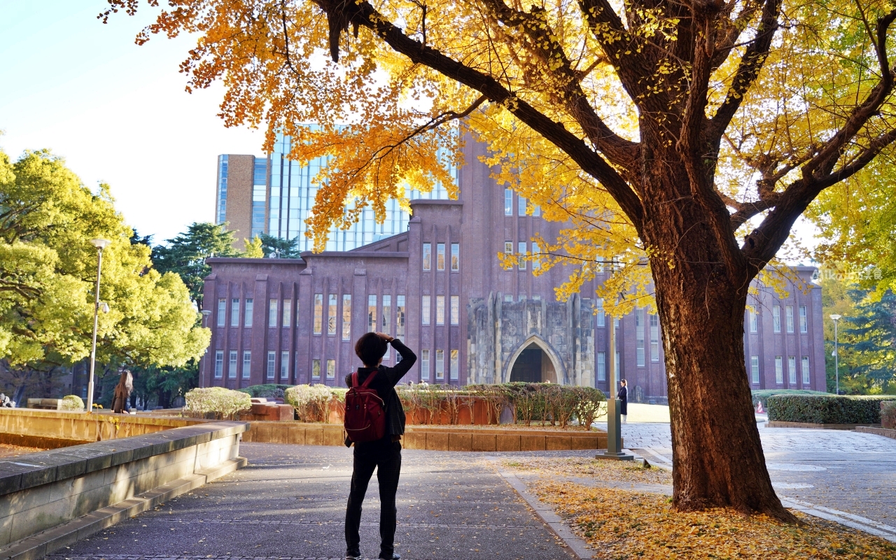 【日本】 東京大學 銀杏並木｜秋日限定  歐式建築學院風，絕美黃金浪漫大學路。