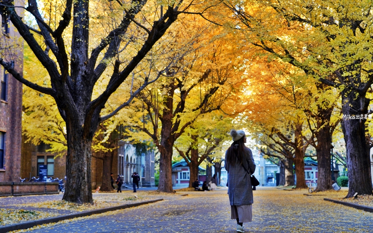 【日本】 東京大學 銀杏並木｜秋日限定  歐式建築學院風，絕美黃金浪漫大學路。