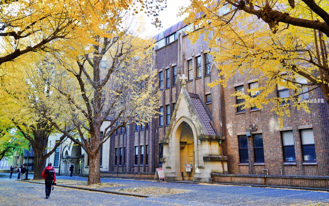 【日本】 東京大學 銀杏並木｜秋日限定  歐式建築學院風，絕美黃金浪漫大學路。