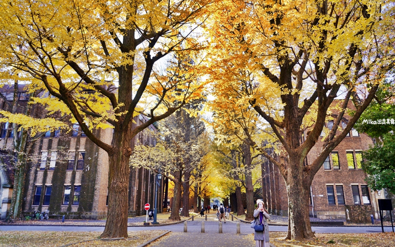 【日本】 東京大學 銀杏並木｜秋日限定  歐式建築學院風，絕美黃金浪漫大學路。