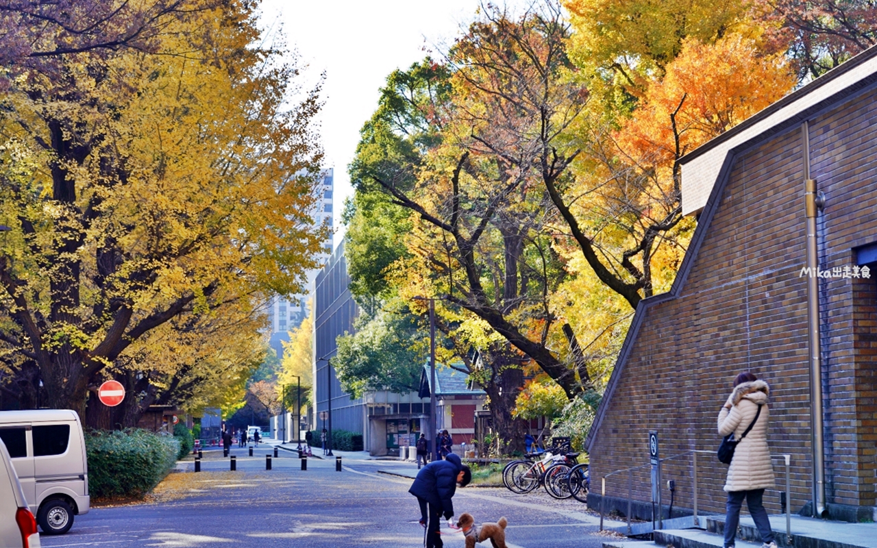 【日本】 東京大學 銀杏並木｜秋日限定  歐式建築學院風，絕美黃金浪漫大學路。