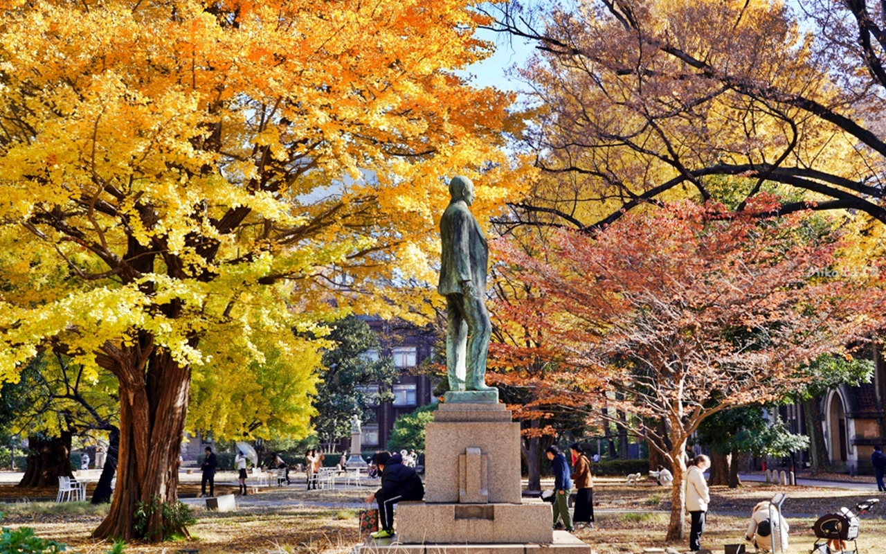 【日本】 東京大學 銀杏並木｜秋日限定  歐式建築學院風，絕美黃金浪漫大學路。