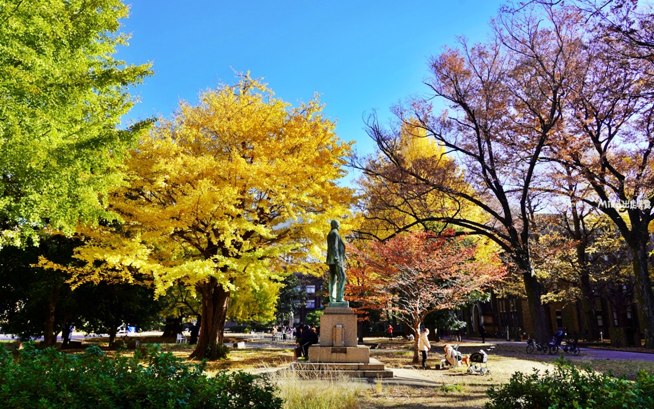 【日本】 東京大學 銀杏並木｜秋日限定  歐式建築學院風，絕美黃金浪漫大學路。