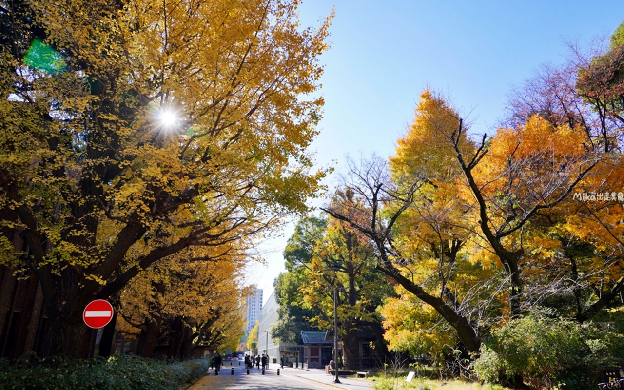 【日本】 東京大學 銀杏並木｜秋日限定  歐式建築學院風，絕美黃金浪漫大學路。