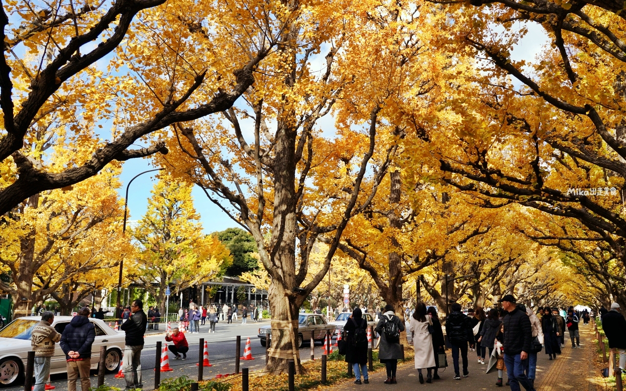 【東京】 明治神宮外苑銀杏林＆Shake Shack 漢堡｜季節限定 東京超美黃金銀杏大道秋景，必吃Shake Shack 漢堡。