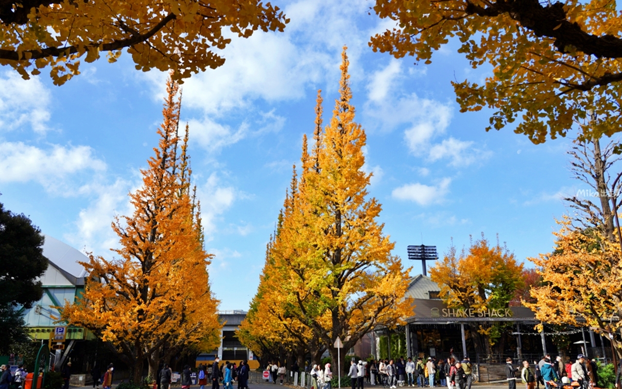 【東京】 明治神宮外苑銀杏林＆Shake Shack 漢堡｜季節限定 東京超美黃金銀杏大道秋景，必吃Shake Shack 漢堡。