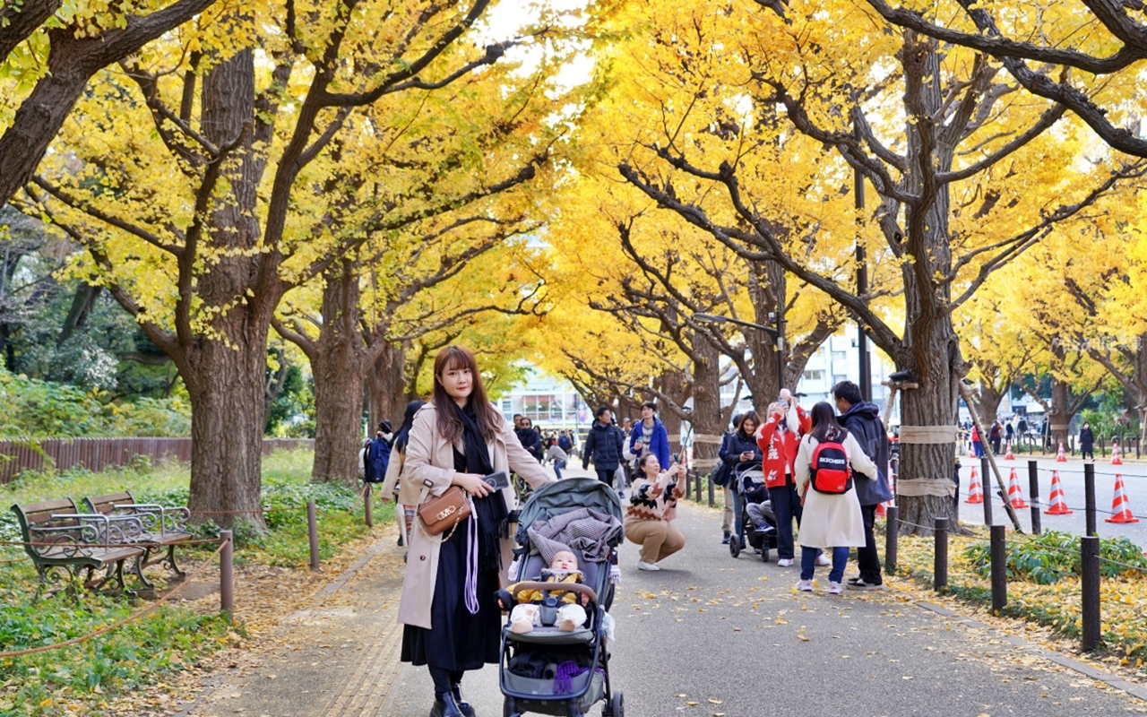 【東京】 明治神宮外苑銀杏林＆Shake Shack 漢堡｜季節限定 東京超美黃金銀杏大道秋景，必吃Shake Shack 漢堡。