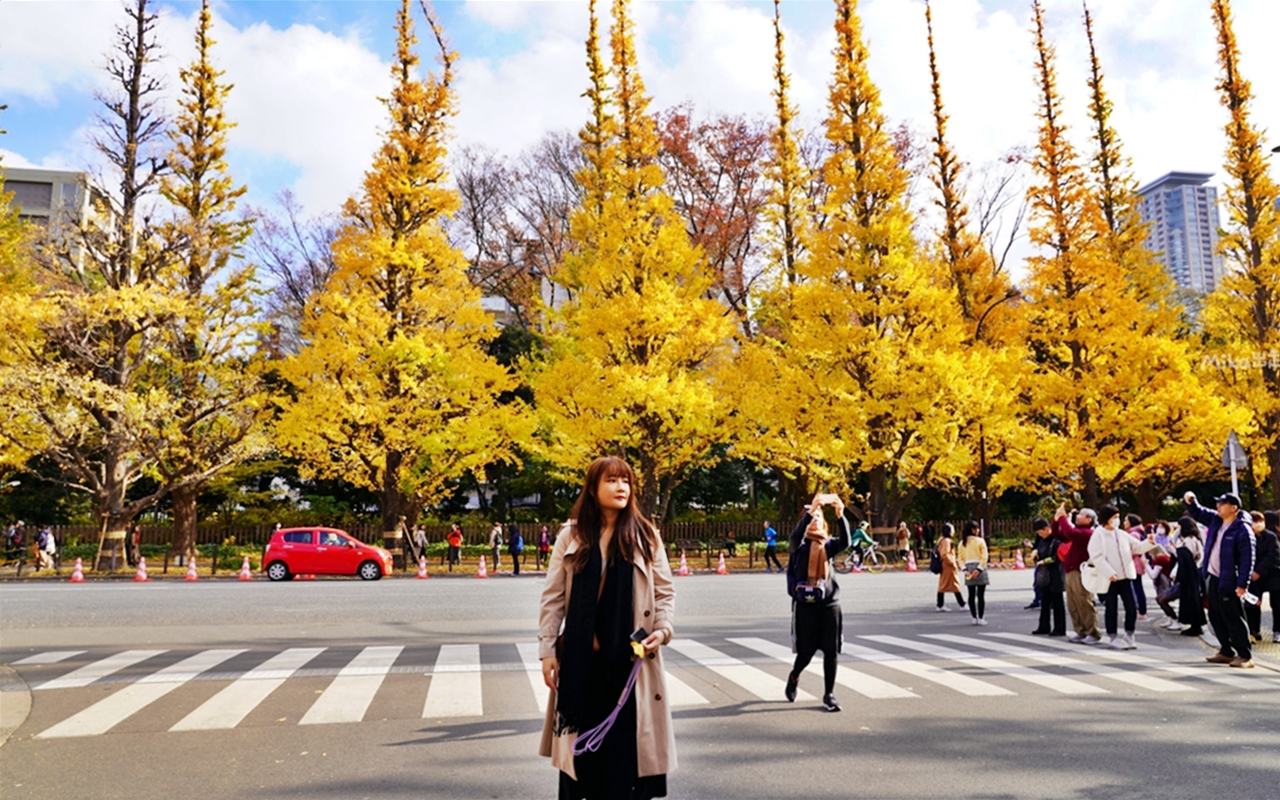 【東京】 明治神宮外苑銀杏林＆Shake Shack 漢堡｜季節限定 東京超美黃金銀杏大道秋景，必吃Shake Shack 漢堡。