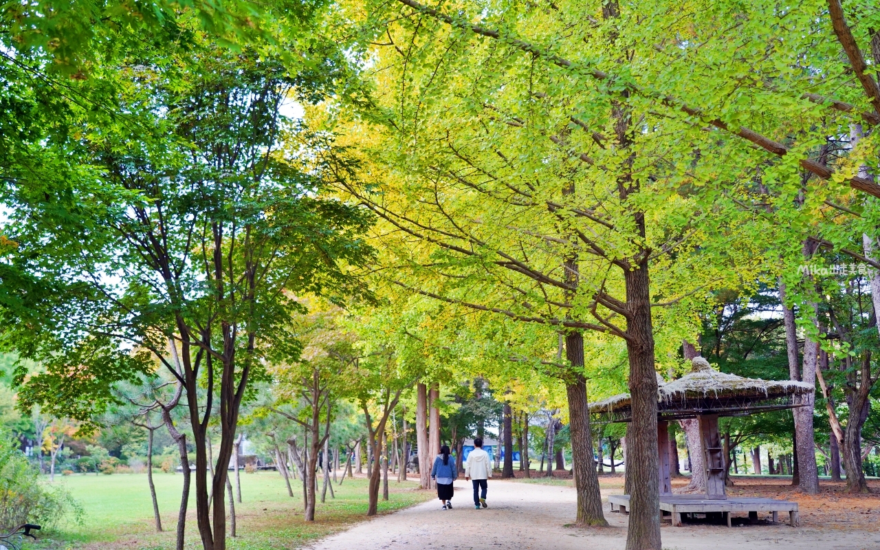 【韓國】 江原道春川 南怡島｜韓劇最愛取景地 四季分明 山林綠意美景的一座美麗小島。