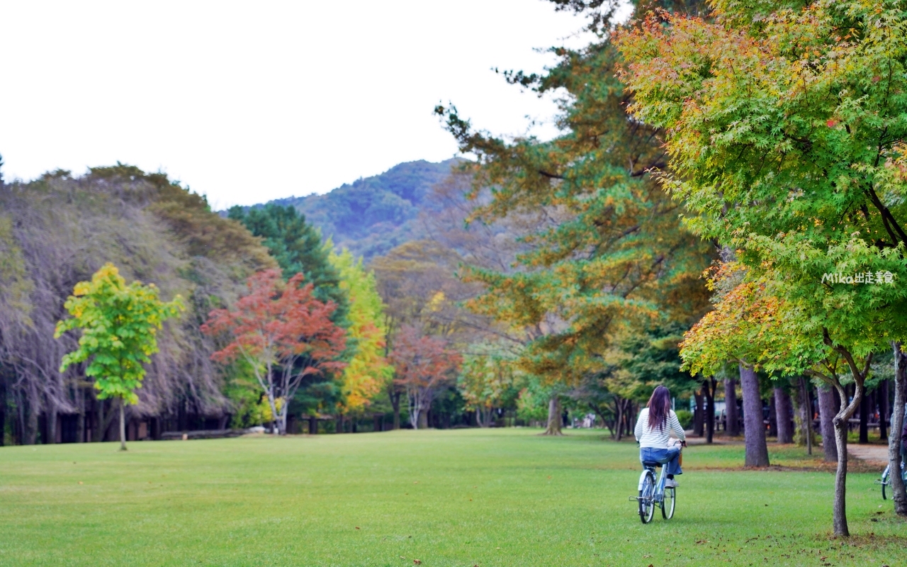 【韓國】 江原道春川 南怡島｜韓劇最愛取景地 四季分明 山林綠意美景的一座美麗小島。